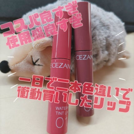 ウォータリーティントリップ/CEZANNE/リップティントを使ったクチコミ(1枚目)
