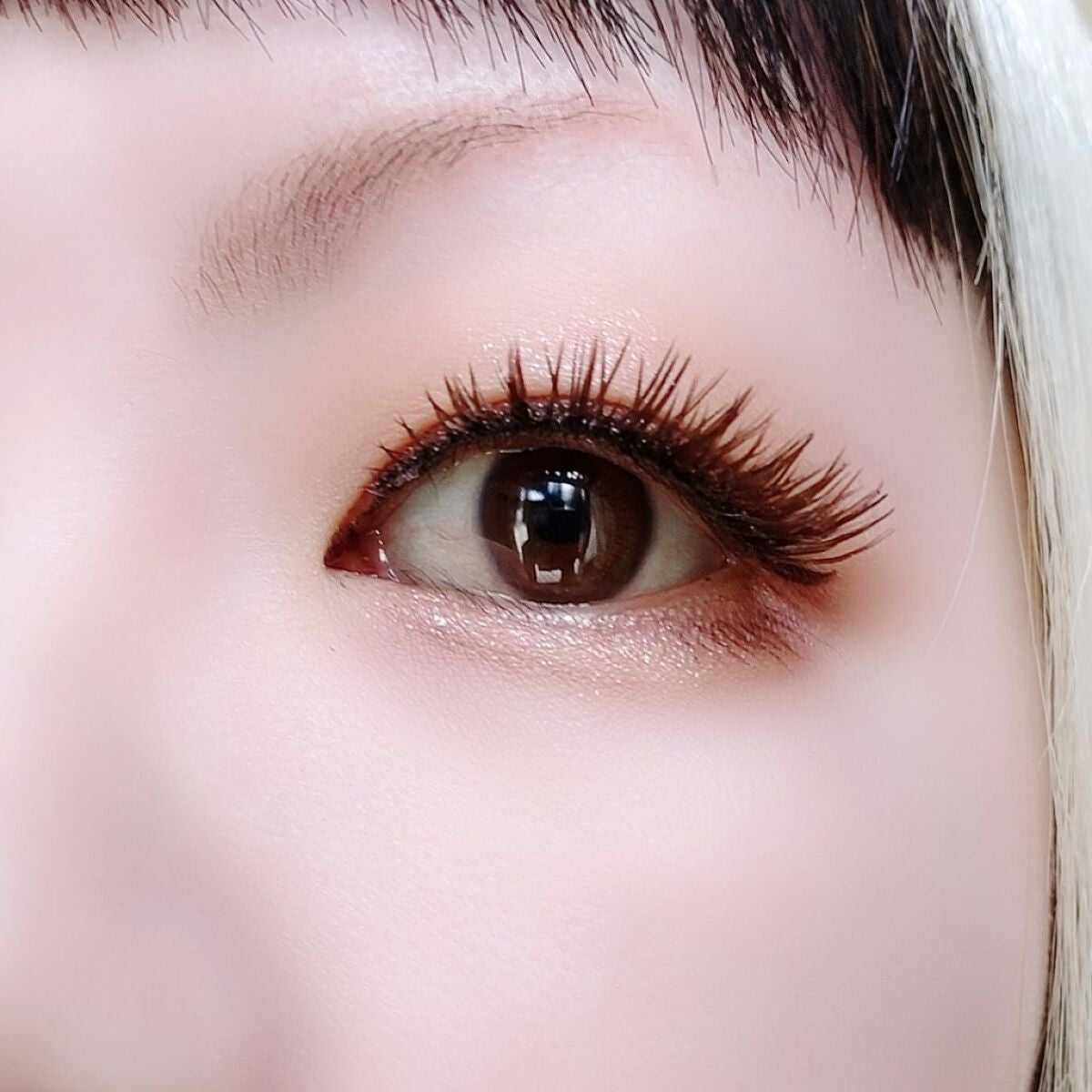 シルキースフレアイズ(マットタイプ)/キャンメイク/アイシャドウパレットを使ったクチコミ(6枚目)