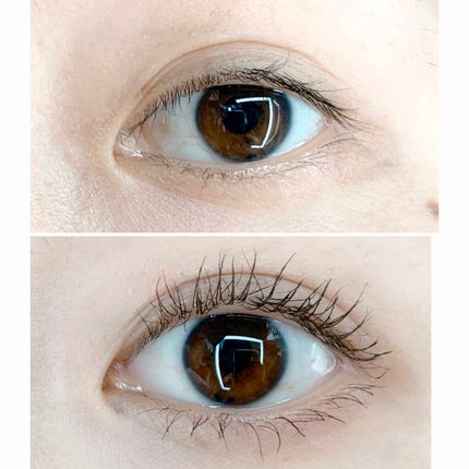 「塗るつけまつげ」ロングタイプ/デジャヴュ/マスカラを使ったクチコミ(3枚目)