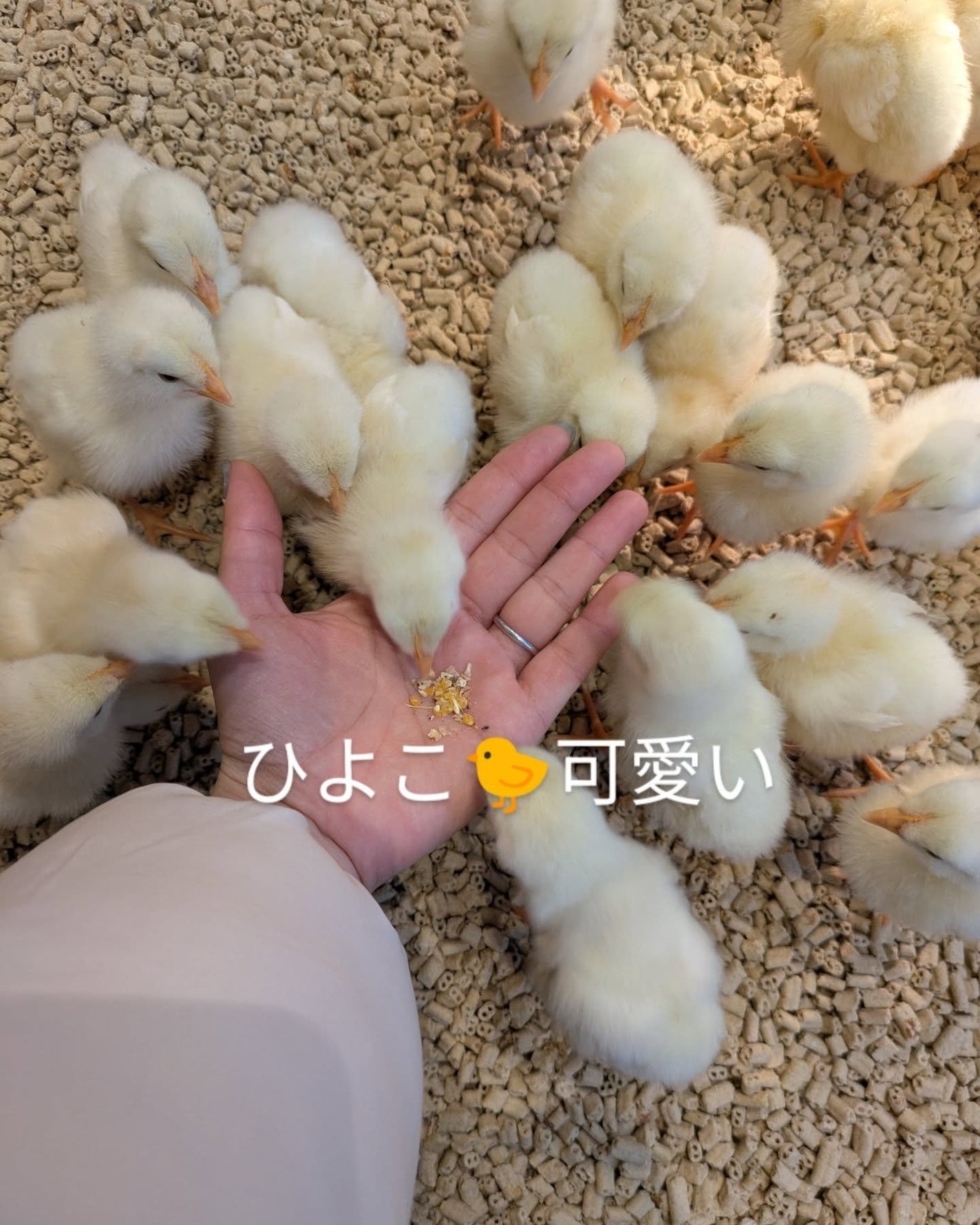 乾燥さん 薬用水分力ブライトニングエッセンス【医薬部外品】/乾燥さん/美容液を使ったクチコミ(6枚目)