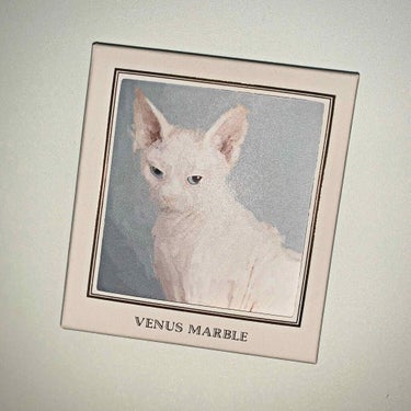 Venus Marble アイシャドウキャットシリーズ/Venus Marble/パウダーアイシャドウを使ったクチコミ（1枚目）