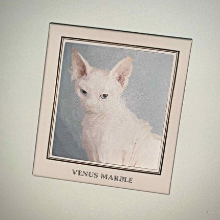 Venus Marble アイシャドウキャットシリーズ/Venus Marble/アイシャドウパレットを使ったクチコミ(1枚目)