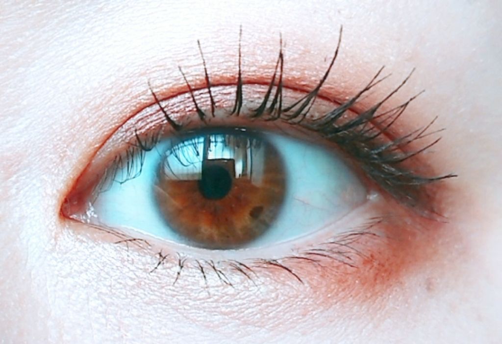 トーンアップアイシャドウ/CEZANNE/アイシャドウパレットを使ったクチコミ（1枚目）