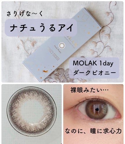 MOLAK 1day/MOLAK/ワンデー(1DAY)カラコンを使ったクチコミ(1枚目)