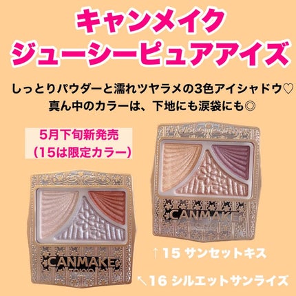 ジューシーピュアアイズ/キャンメイク/アイシャドウパレットを使ったクチコミ(2枚目)