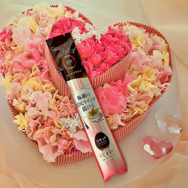 リキッドアイライナー ex BR ダークブラウン/パラドゥ/リキッドアイライナーを使ったクチコミ（2枚目）