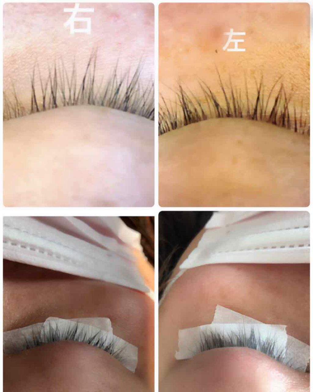 プレミアムアイラッシュエッセンス/アンドビューティー/まつげ美容液を使ったクチコミ（2枚目）