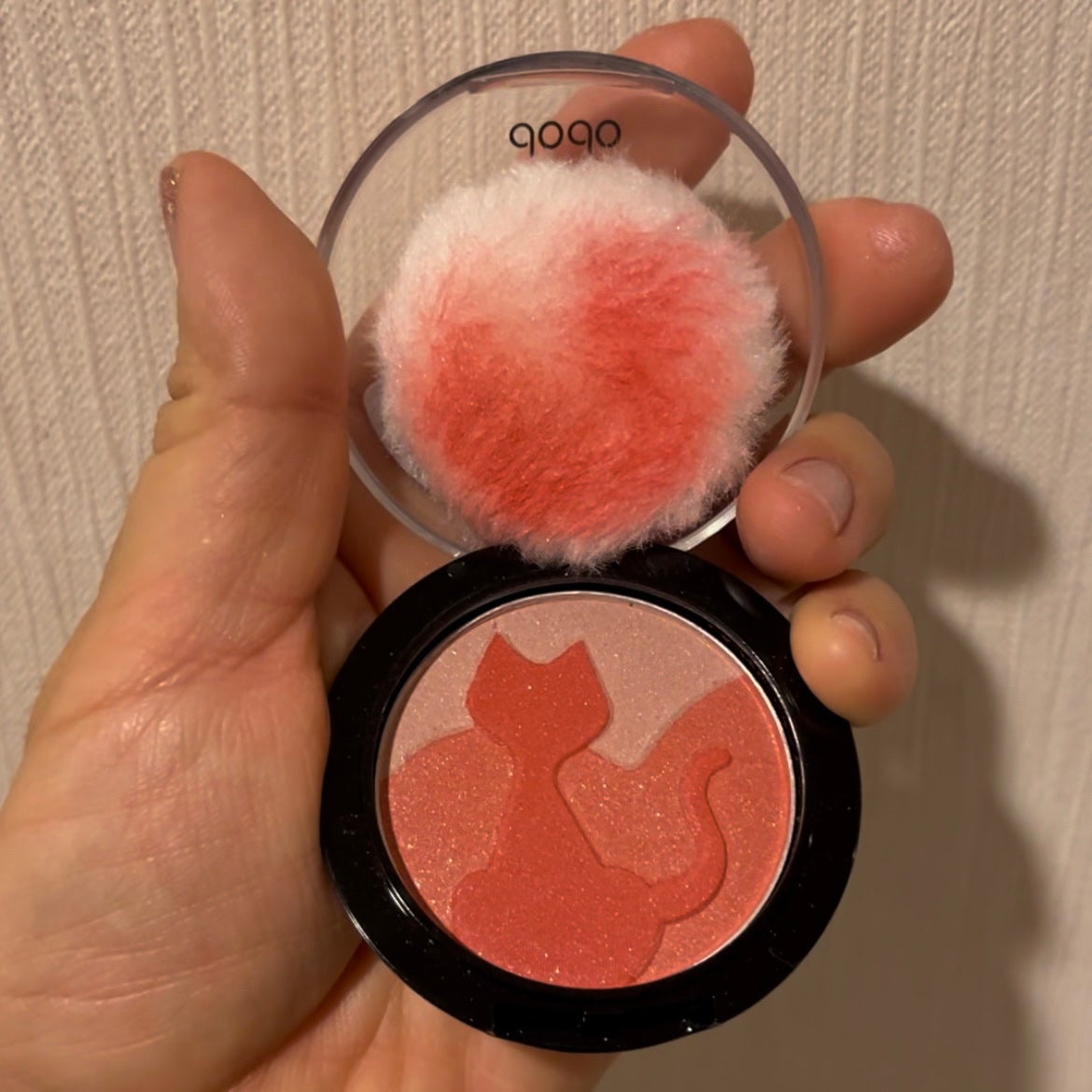 チークキャット/ドド/パウダーチークを使ったクチコミ(5枚目)