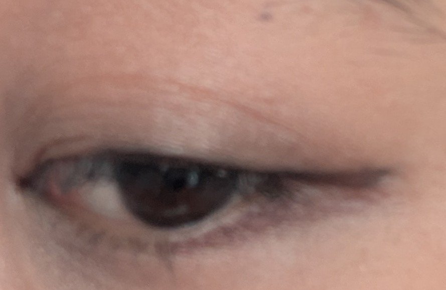 トーンアップアイシャドウ 06 オレンジカシス/CEZANNE/アイシャドウパレットを使ったクチコミ（1枚目）