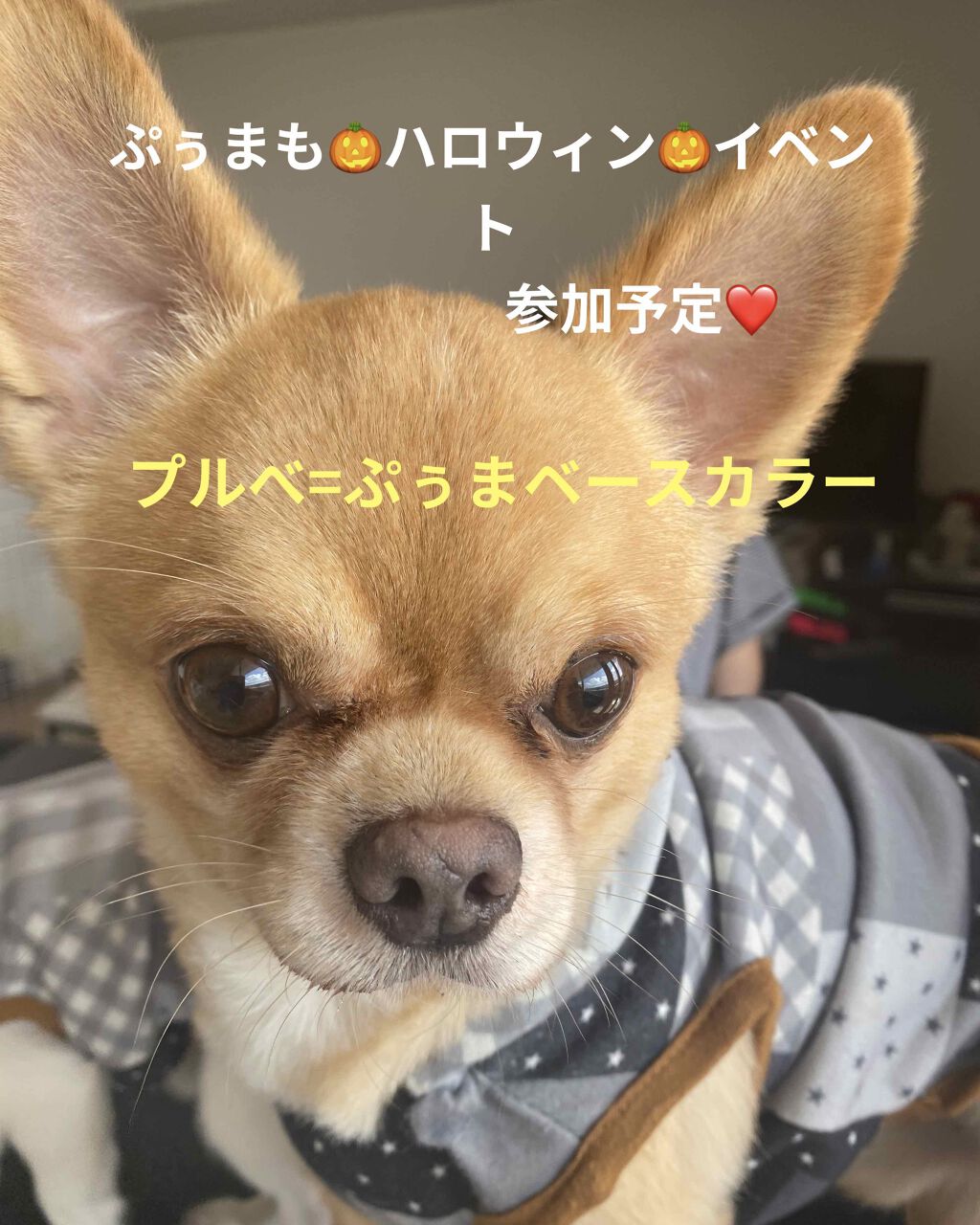 ミセラーアイメイクアップリムーバー/ビフェスタ/ポイントメイクリムーバーを使ったクチコミ(9枚目)