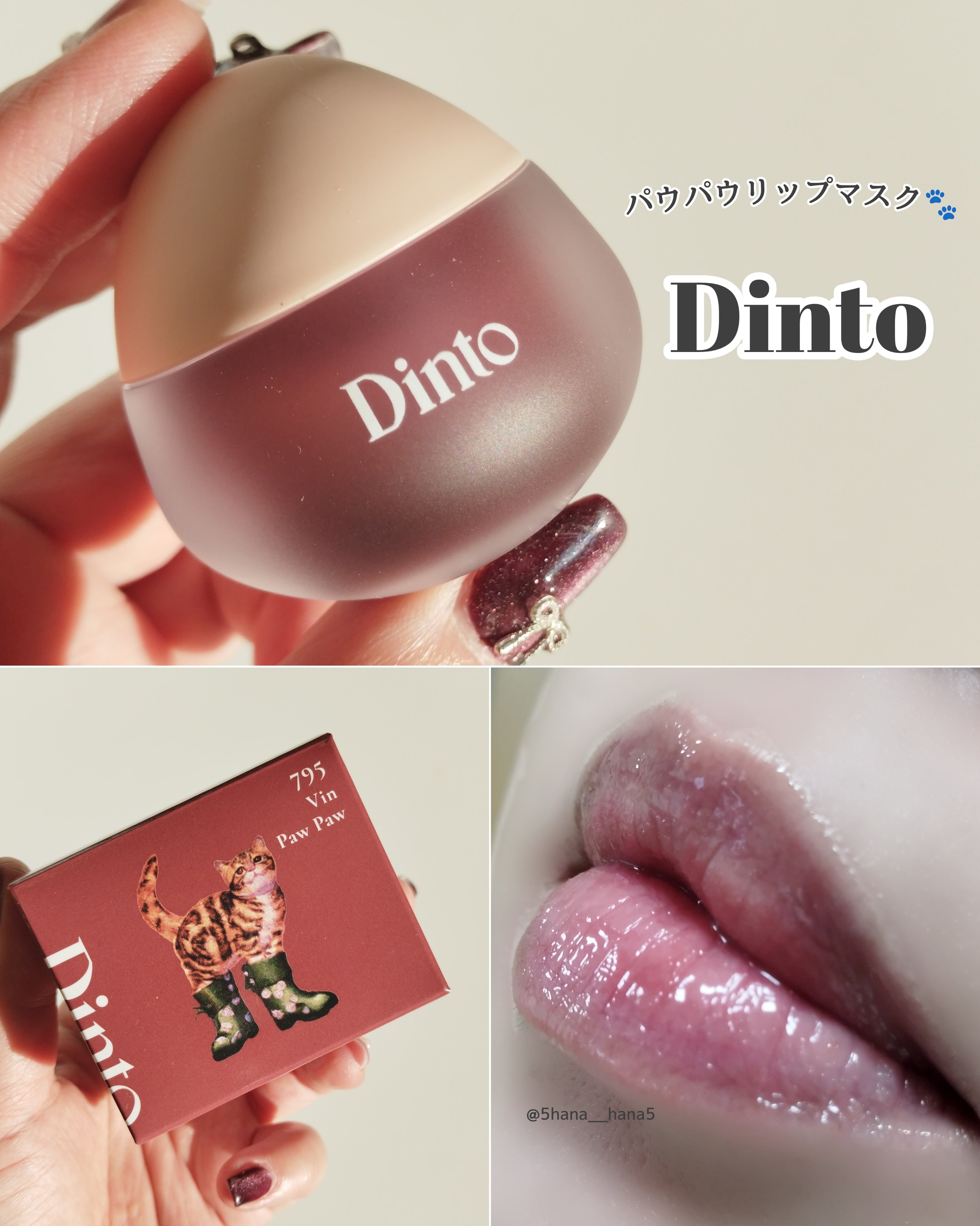dinto
パウパウリップマスク
795　VinPawPaw

........................................

「長靴をはいた猫」≪ル・シャボテ≫をイメージしたシリーズから、猫の肉球を表現したデザインのリ