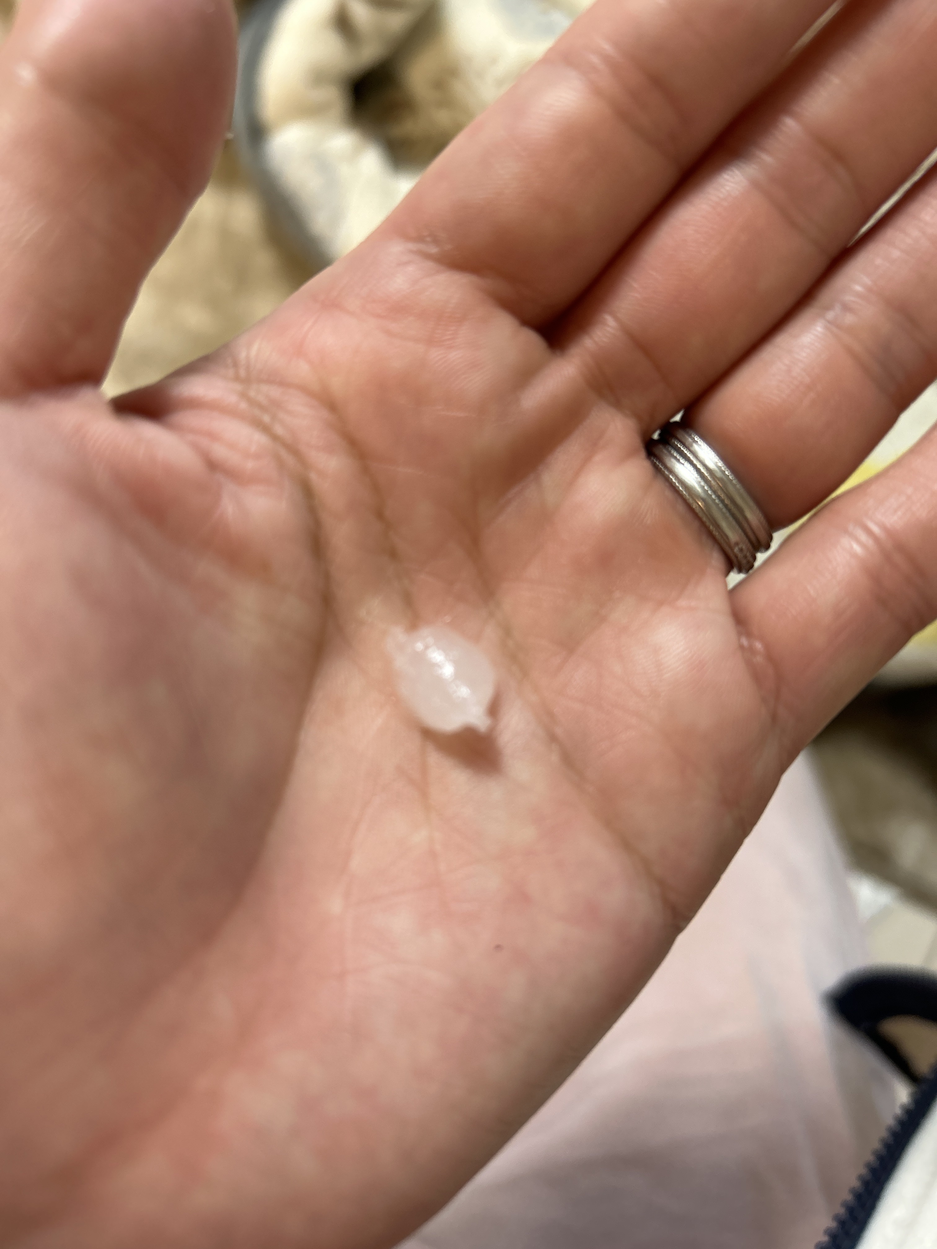 ノルウェーフォーミュラ インテンスリペア CICA ハンドクリーム/Neutrogena/ハンドクリームを使ったクチコミ（2枚目）