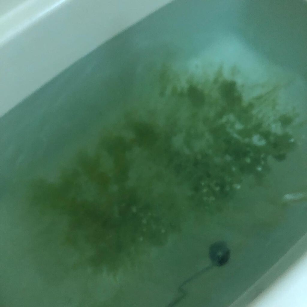 ワフードメイド 宇治抹茶の湯/pdc/保湿系入浴剤を使ったクチコミ(2枚目)