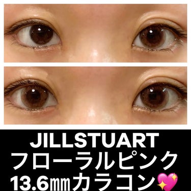 JILL STUART 1day UV フローラル ピンク/JILL STUART/ワンデー（１DAY）カラコンを使ったクチコミ（1枚目）