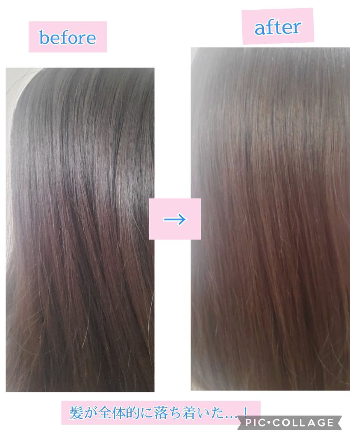 髪ã®ãã¡çŸå®¹ããªã¢ããªãŒãã¡ã³ã/ãšãã»ã³ã·ã£ã«/æŽãæµããã¢ããªãŒãã¡ã³ãã䜿ã£ãã¯ãã³ãïŒ6æç®ïŒ