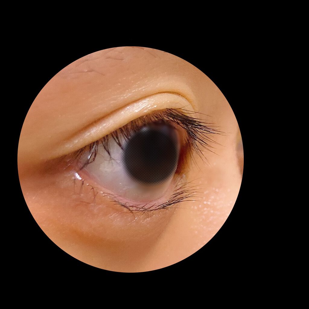 ラッシュジェリードロップ EX/MAJOLICA MAJORCA/まつげ美容液を使ったクチコミ(2枚目)