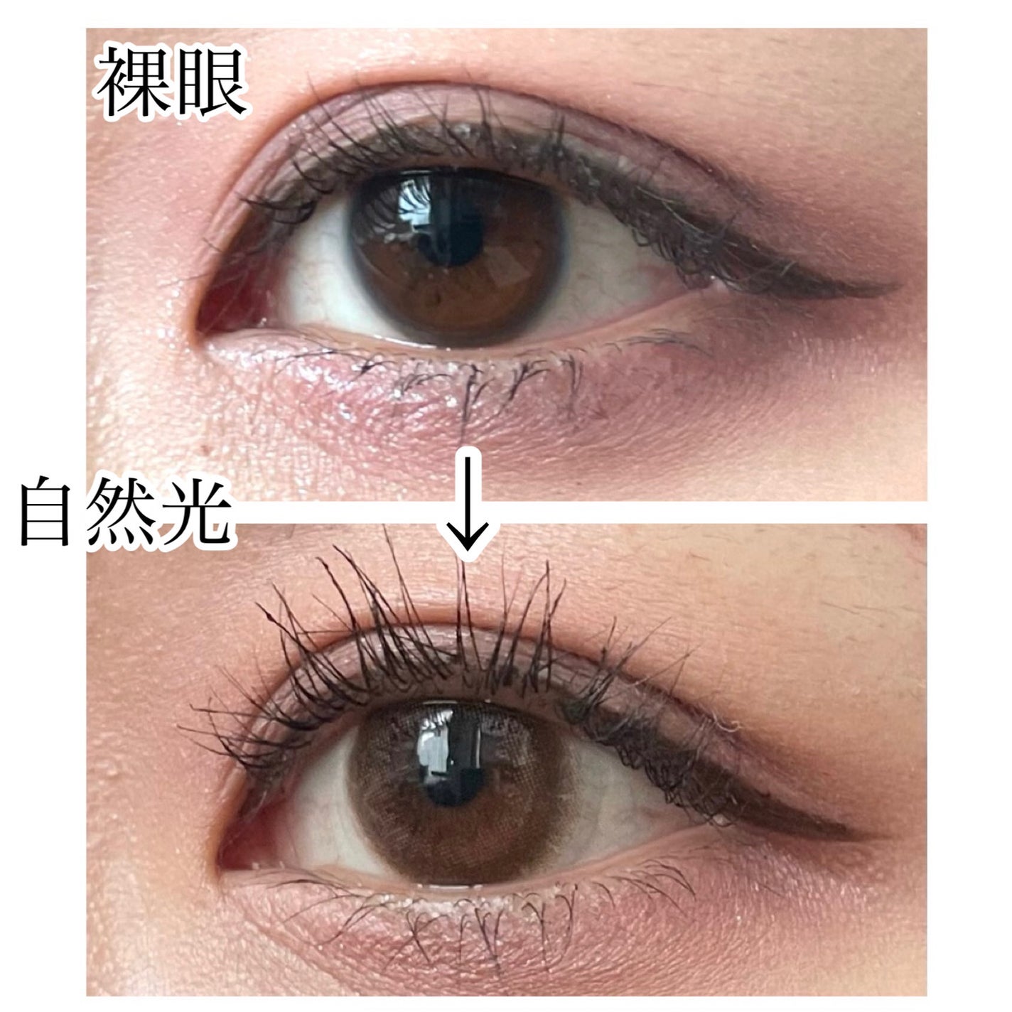 ramurie ラムリエ/ramurie/ワンデー(1DAY)カラコンを使ったクチコミ(4枚目)