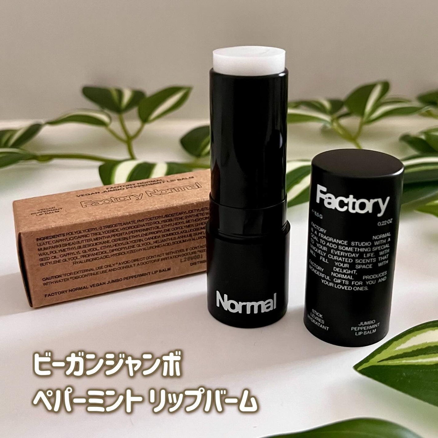 Vegan Jumbo Peppermint Lip Balm/Factory Normal/リップバームを使ったクチコミ(4枚目)