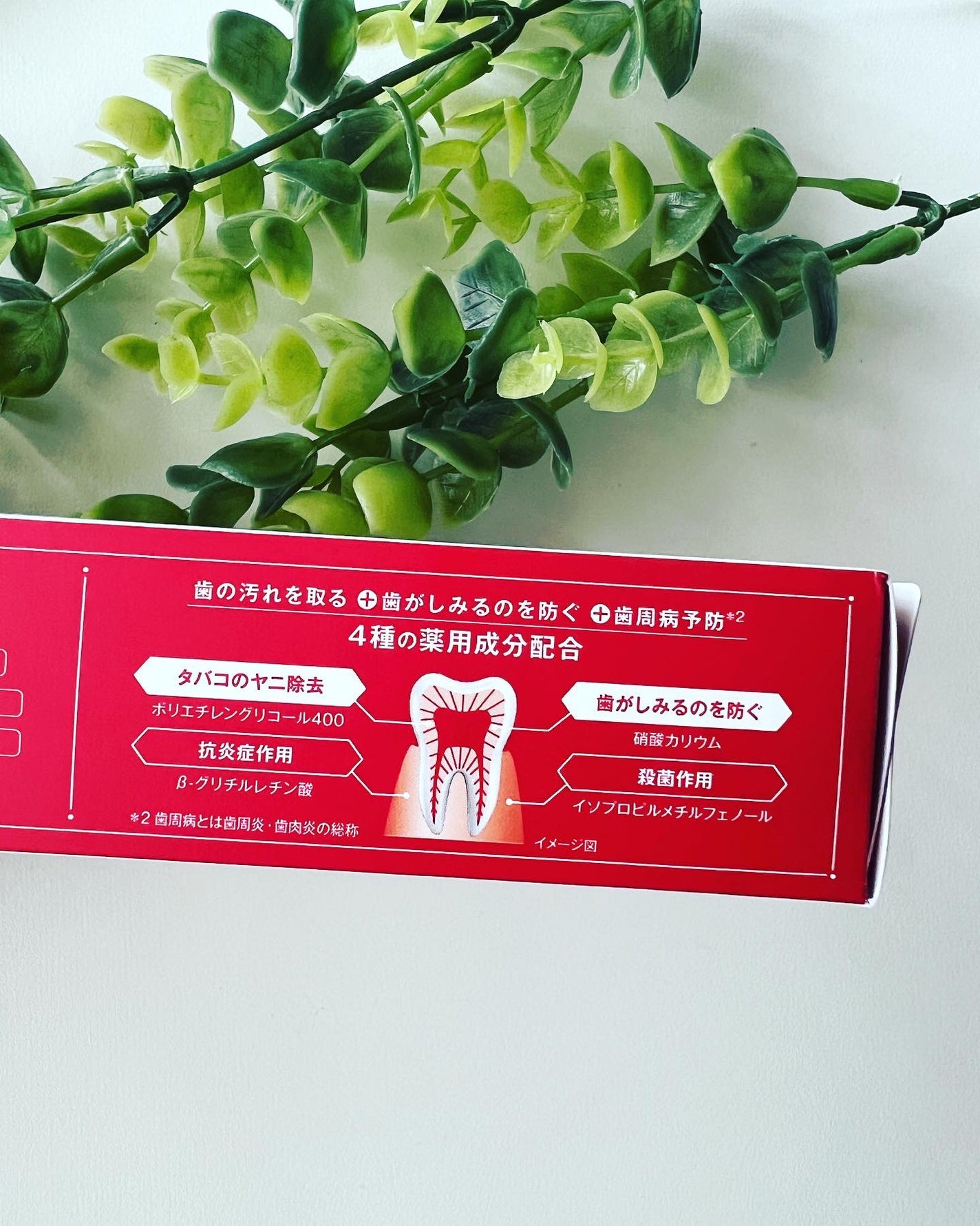 歯磨き堂 薬用ホワイトニングペースト/歯磨き堂/歯磨き粉を使ったクチコミ(4枚目)