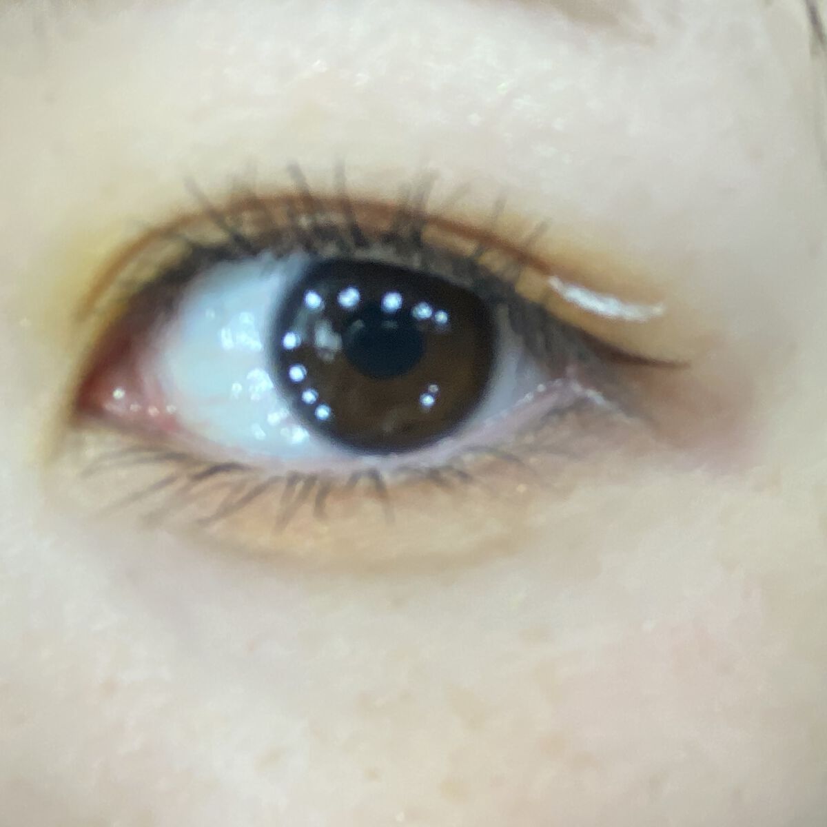 エクスプローラ12色 動物アイシャドウパレット/PERFECT DIARY/アイシャドウパレットを使ったクチコミ（2枚目）