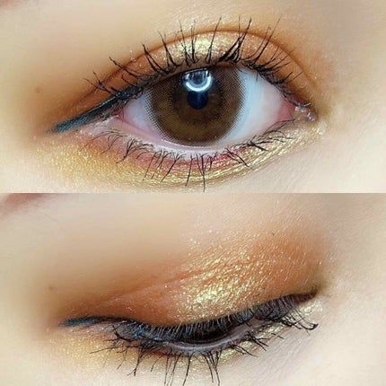 impulsive pressed pigment palette/Melt Cosmetics/アイシャドウパレットを使ったクチコミ(1枚目)