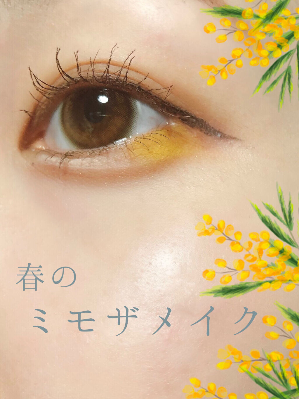 プロ アイ パレット/CLIO/アイシャドウパレットを使ったクチコミ（1枚目）