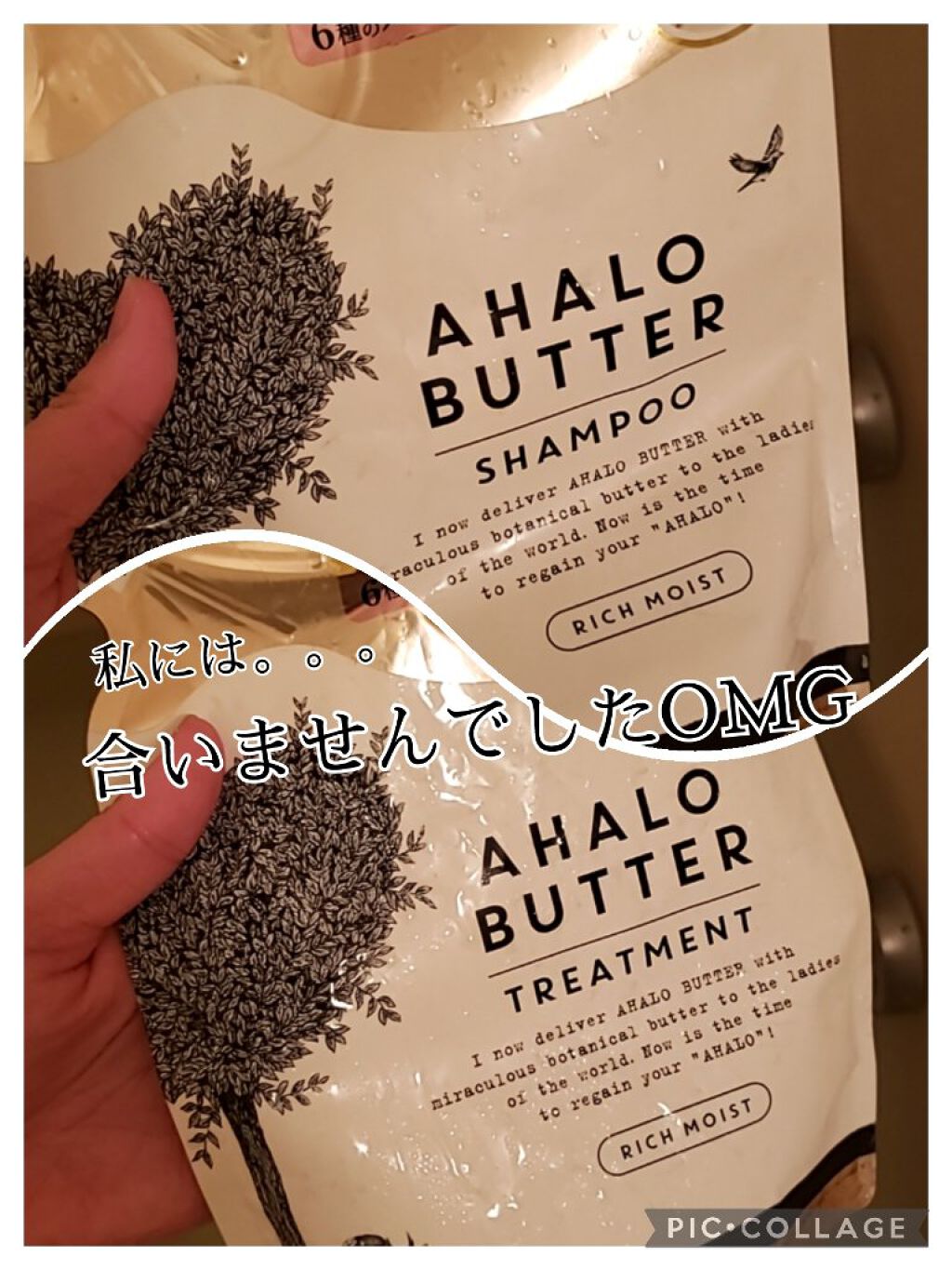 モイスト&リペア シャンプー/ヘアトリートメント/AHALO BUTTER/市販シャンプーを使ったクチコミ(1枚目)