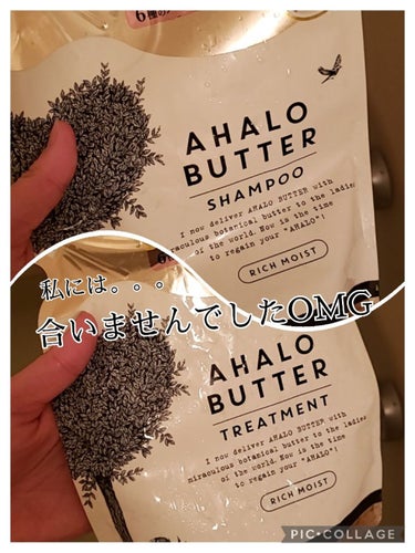 モイスト＆リペア シャンプー／ヘアトリートメント シャンプー詰替：380ml/AHALO BUTTER/シャンプー・コンディショナーを使ったクチコミ（1枚目）