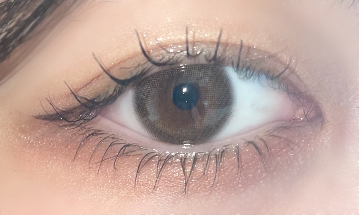 エクスプローラ12色 動物アイシャドウパレット/PERFECT DIARY/アイシャドウパレットを使ったクチコミ（1枚目）