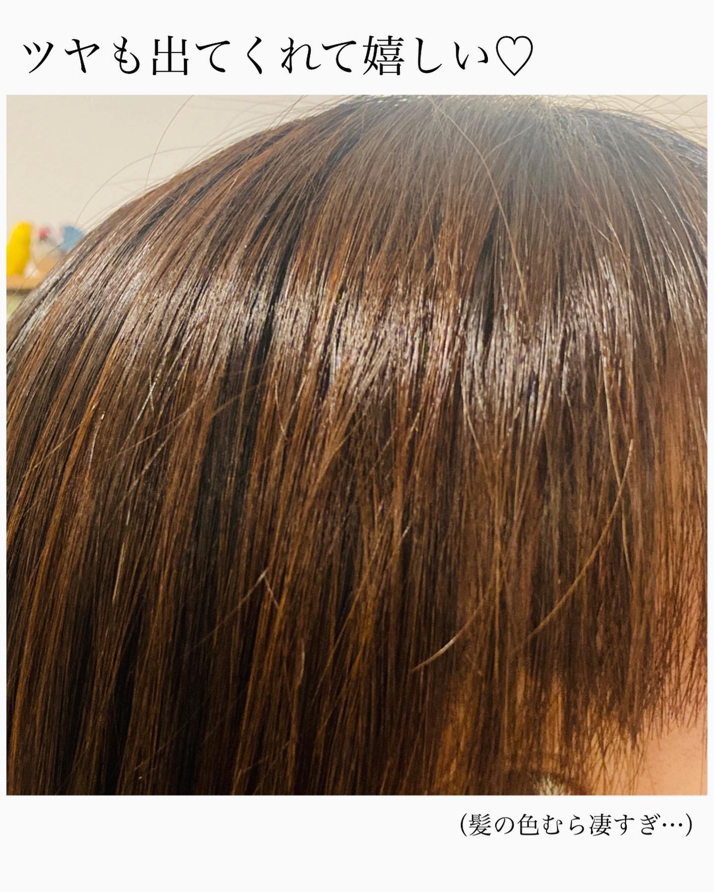 オーガニックヘアオイル フレッシュティーの香り/ハーバルリーフ/ヘアオイルを使ったクチコミ(5枚目)