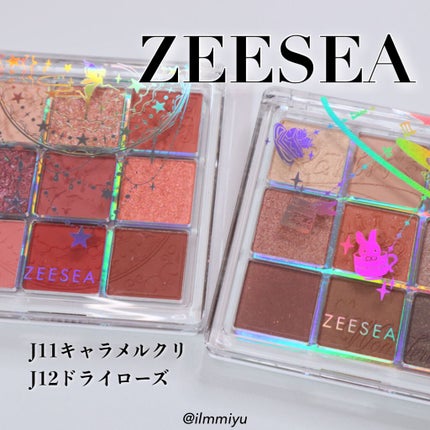 クォーツ 9色アイシャドウパレット(ドリームランドアイシャドウ)/ZEESEA/アイシャドウパレットを使ったクチコミ(1枚目)