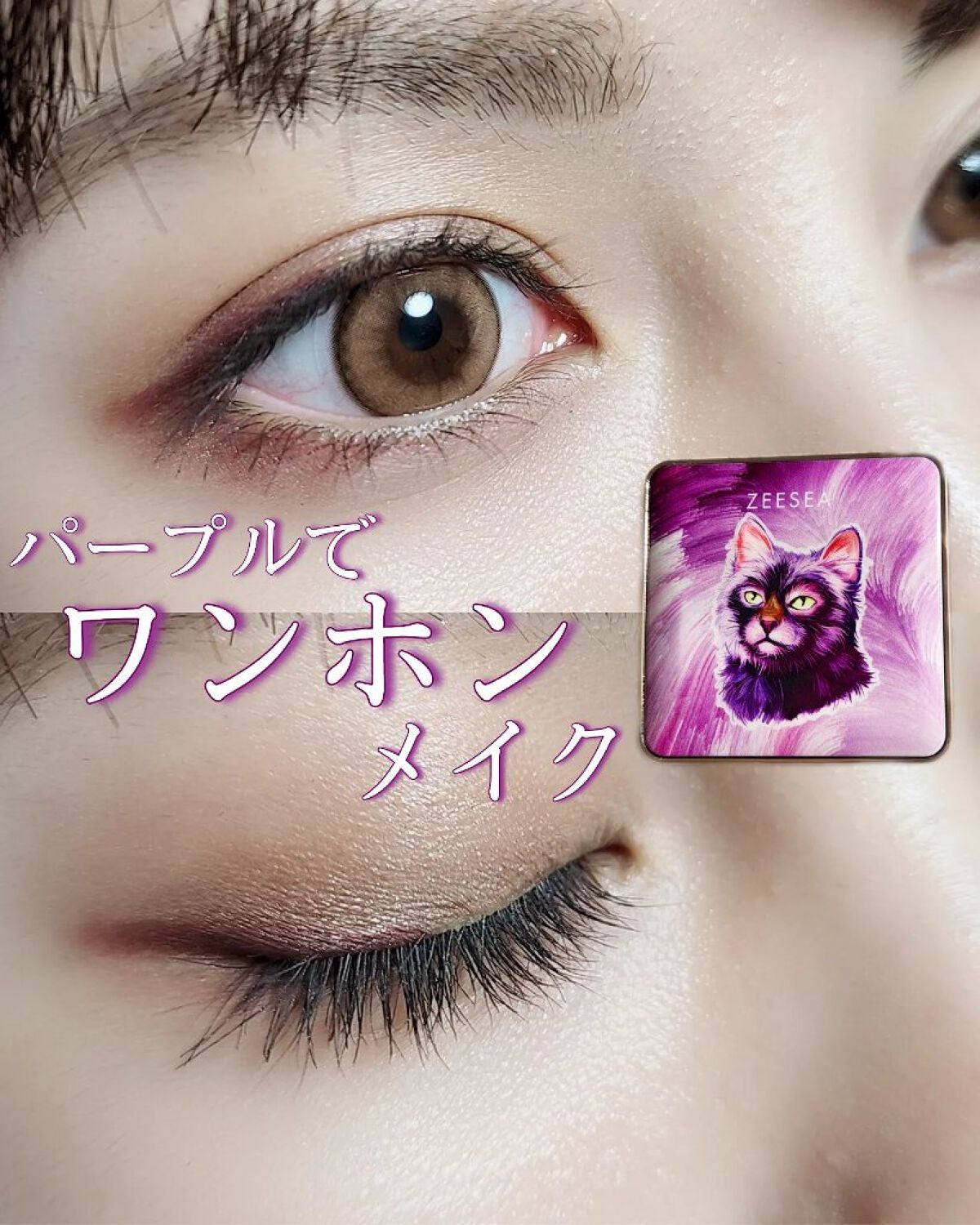 アニマルアイシャドウ(4シェード)/ZEESEA/アイシャドウパレットを使ったクチコミ(1枚目)