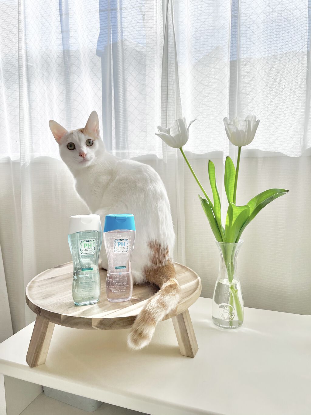 フェミニンウォッシュ シャワースプラッシュ/PH JAPAN(ピイ・エイチ・ジャパン) /デリケートゾーンケアを使ったクチコミ（1枚目）