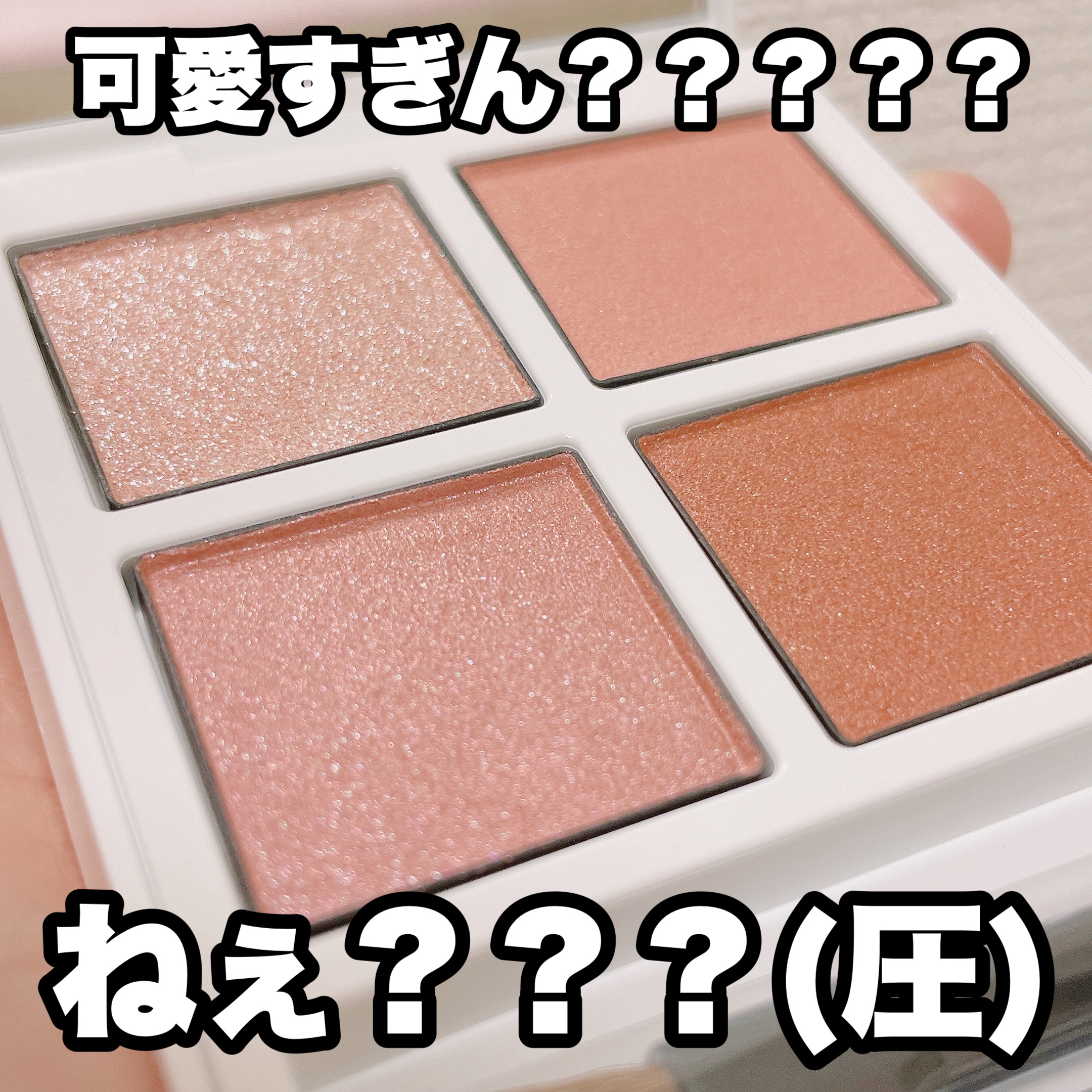 ホリデー アディクション　サイレント ウィッシュⅡ /ADDICTION/メイクアップキットを使ったクチコミ（3枚目）