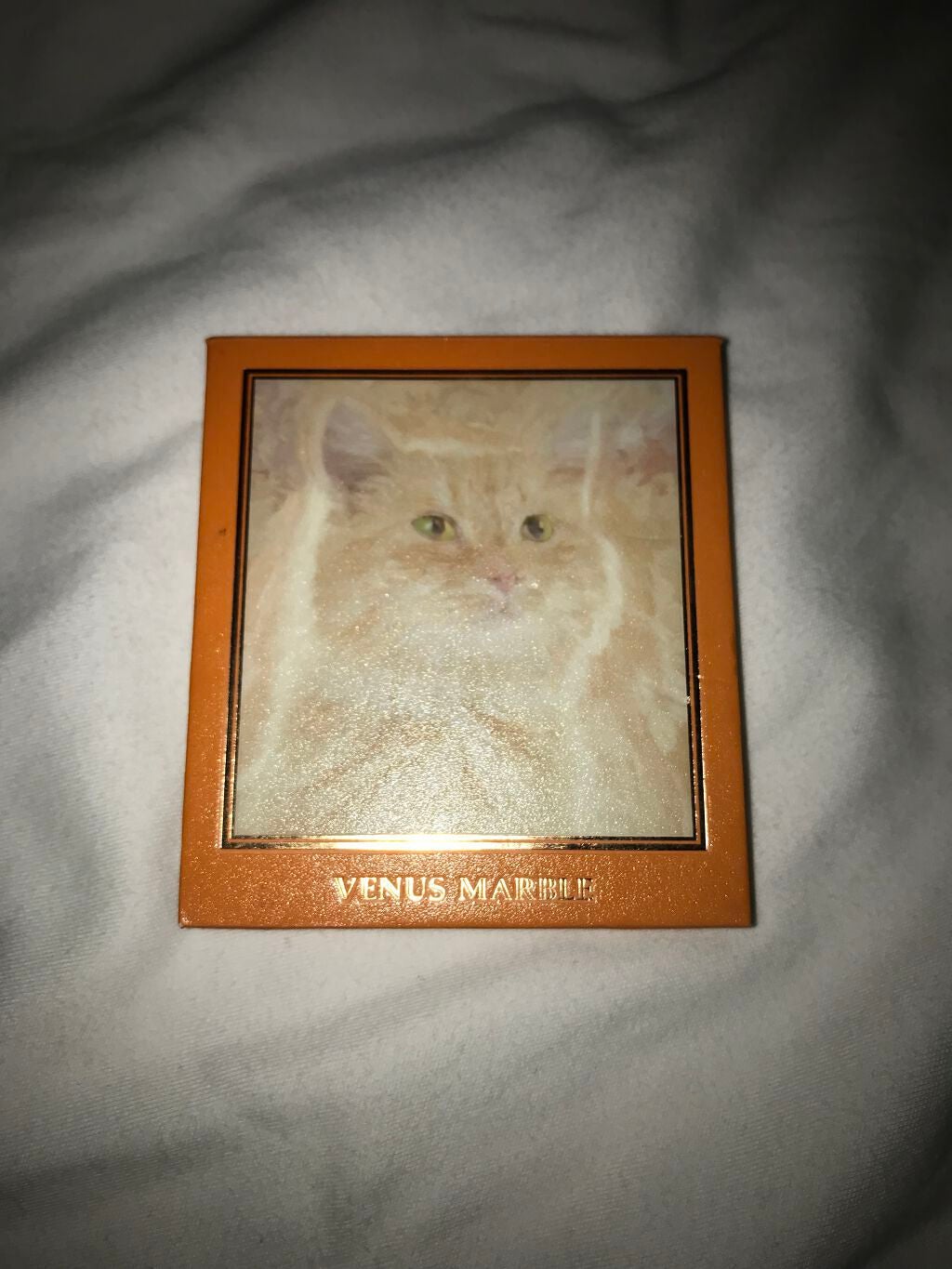 VenusMarble 9色アイシャドウパレット/Venus Marble/アイシャドウパレットを使ったクチコミ(5枚目)