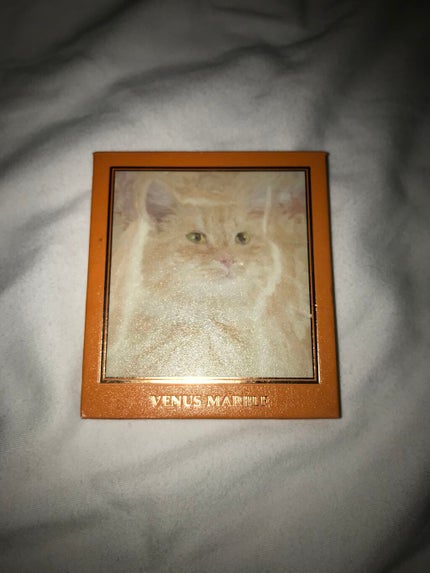 VenusMarble 9色アイシャドウパレット/Venus Marble/アイシャドウパレットを使ったクチコミ(5枚目)