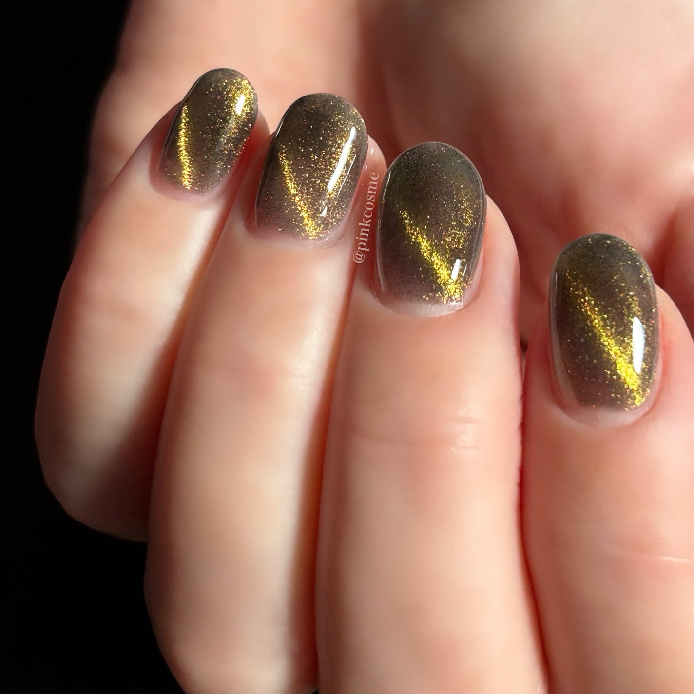 アニマルマグネットジェル/ネイル工房/ジェルネイルを使ったクチコミ(5枚目)