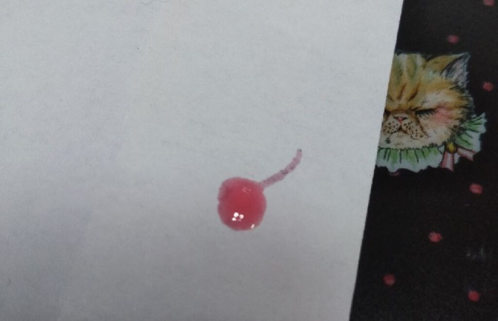 すっぴんリップエッセンス/クラブ/リップ美容液を使ったクチコミ（3枚目）