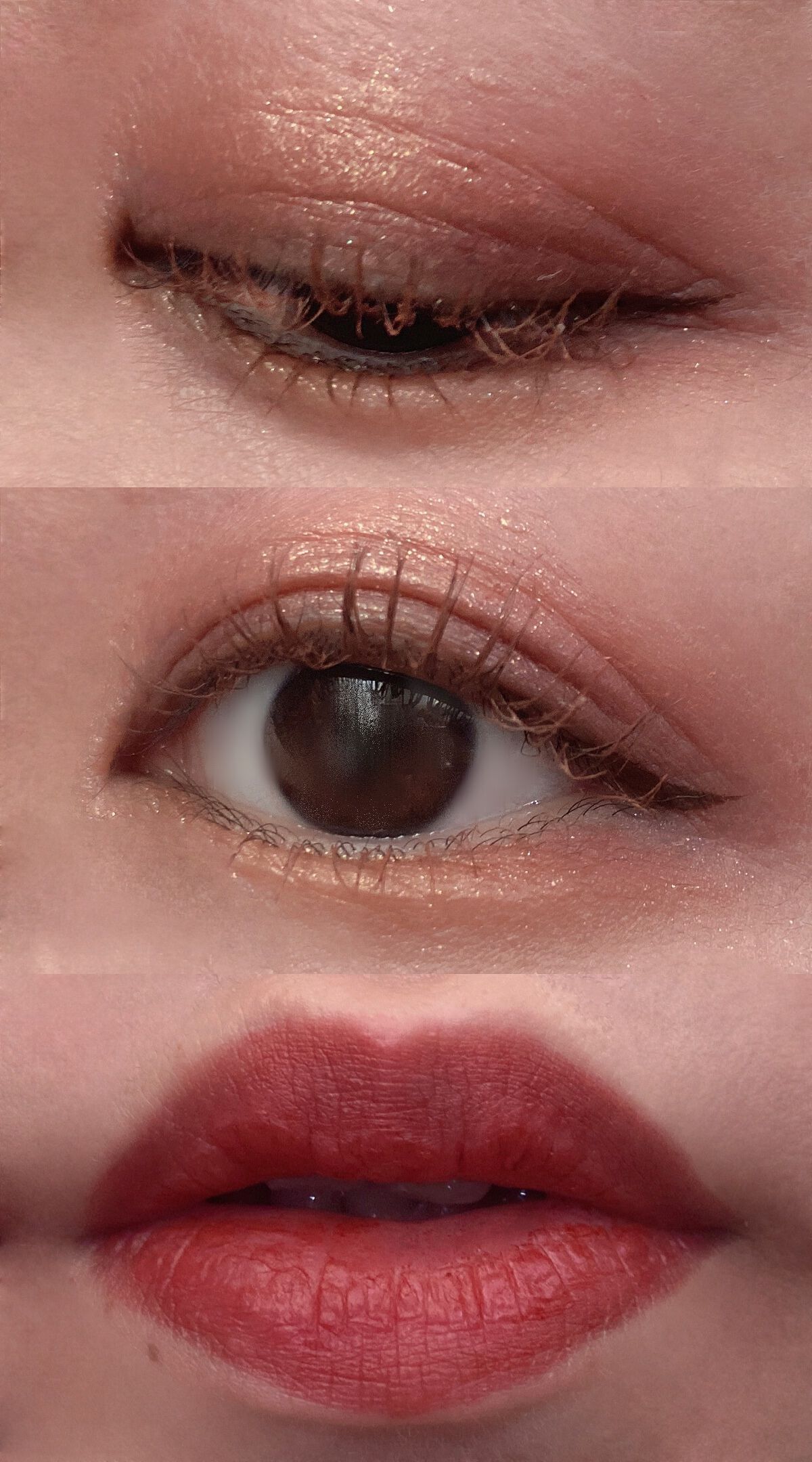 長相思シリーズ 9色アイシャドウパレット/CATKIN/アイシャドウパレットを使ったクチコミ（2枚目）