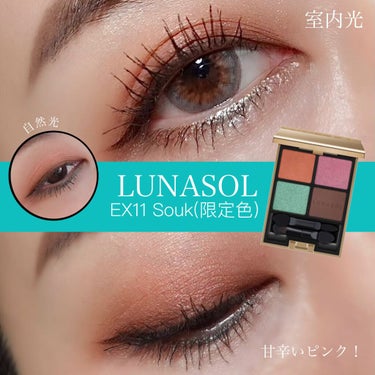 アイカラーレーション EX11 Souk（限定発売）/LUNASOL/アイシャドウパレットを使ったクチコミ（3枚目）