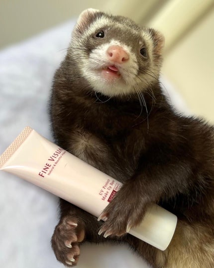 UVプロテクト メイクアップベース/FINE VISUAL/化粧下地を使ったクチコミ(4枚目)