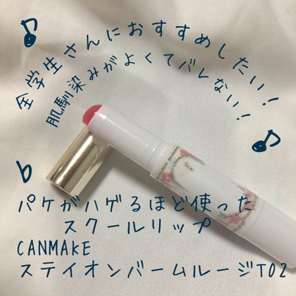 ステイオンバームルージュ/キャンメイク/口紅を使ったクチコミ(1枚目)