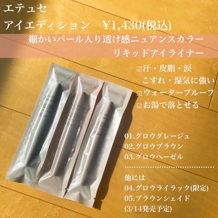 エテュセ アイエディション(リキッドライナー)/ettusais/リキッドアイライナーを使ったクチコミ(2枚目)