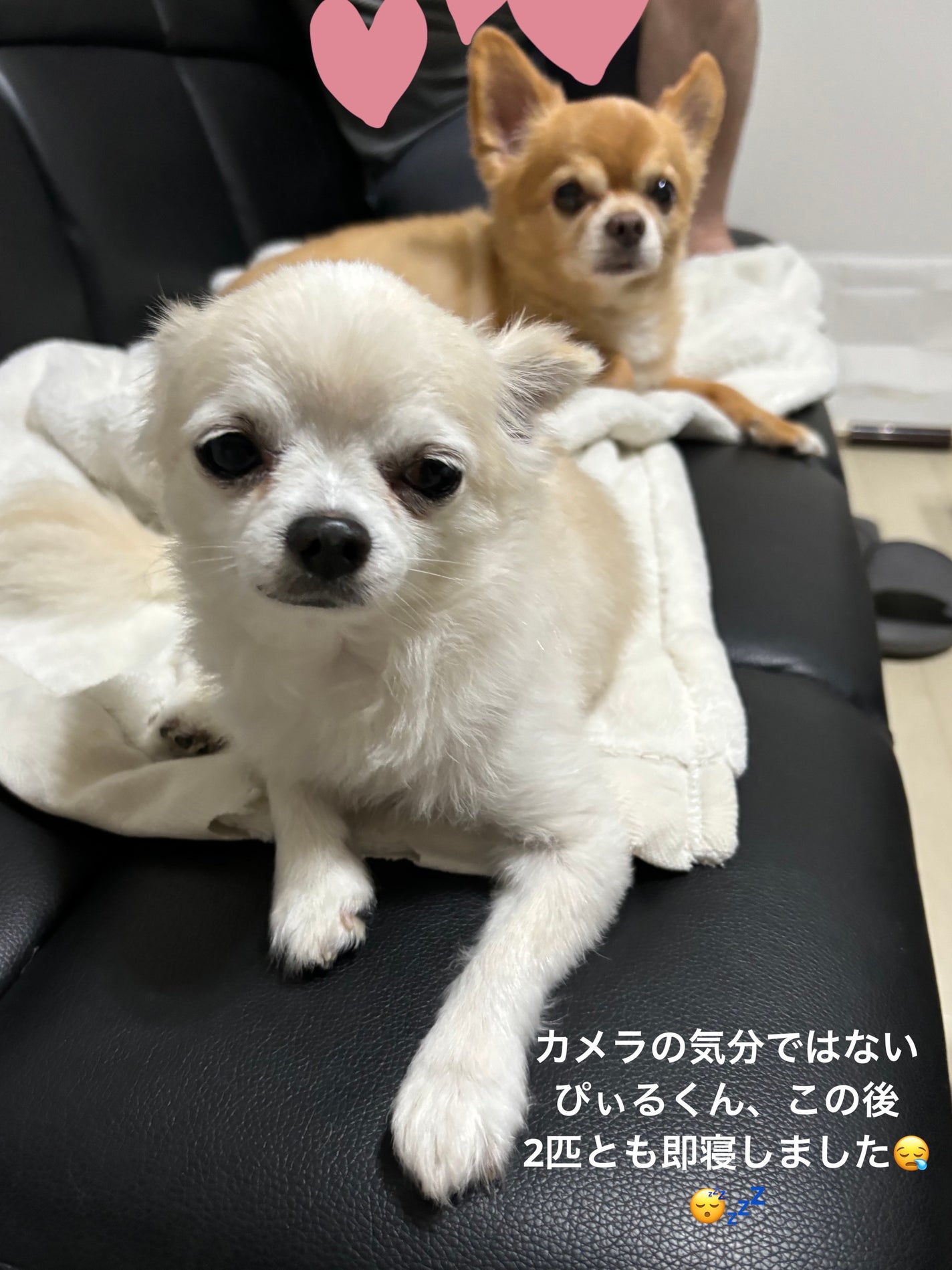 キスキス ビー グロウ/GUERLAIN/口紅を使ったクチコミ(6枚目)