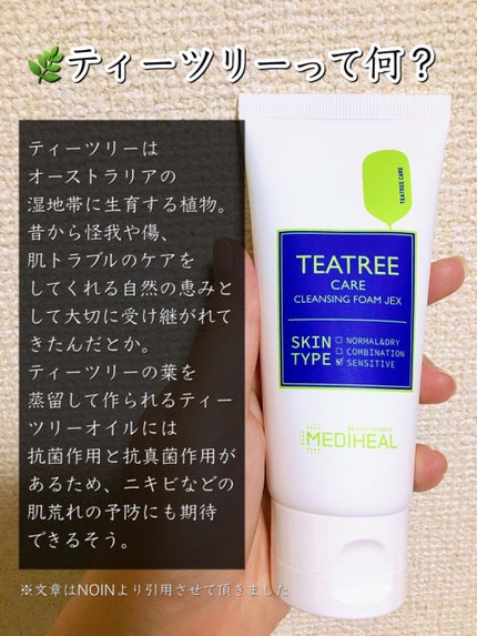 MEDIHEAL ティーツリーケア クレンジングフォーム JEXのクチコミ「🌿あのパックで有名なメディヒールの洗顔料ってどうなの?🌿
メディヒールのパックは私も大好きな.....」(2枚目)