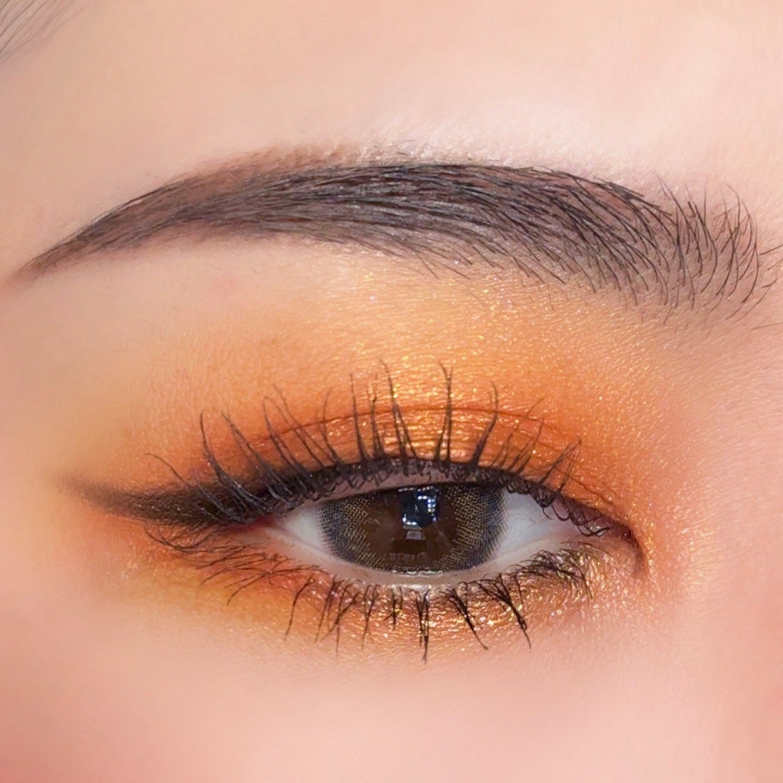 エクスプローラ12色 動物アイシャドウパレット/PERFECT DIARY/アイシャドウパレットを使ったクチコミ(6枚目)