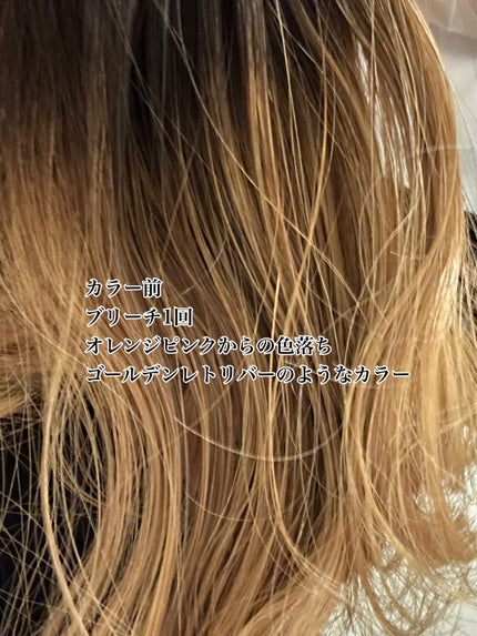 デビルズトリック/クイスクイス/ヘアカラーを使ったクチコミ(2枚目)