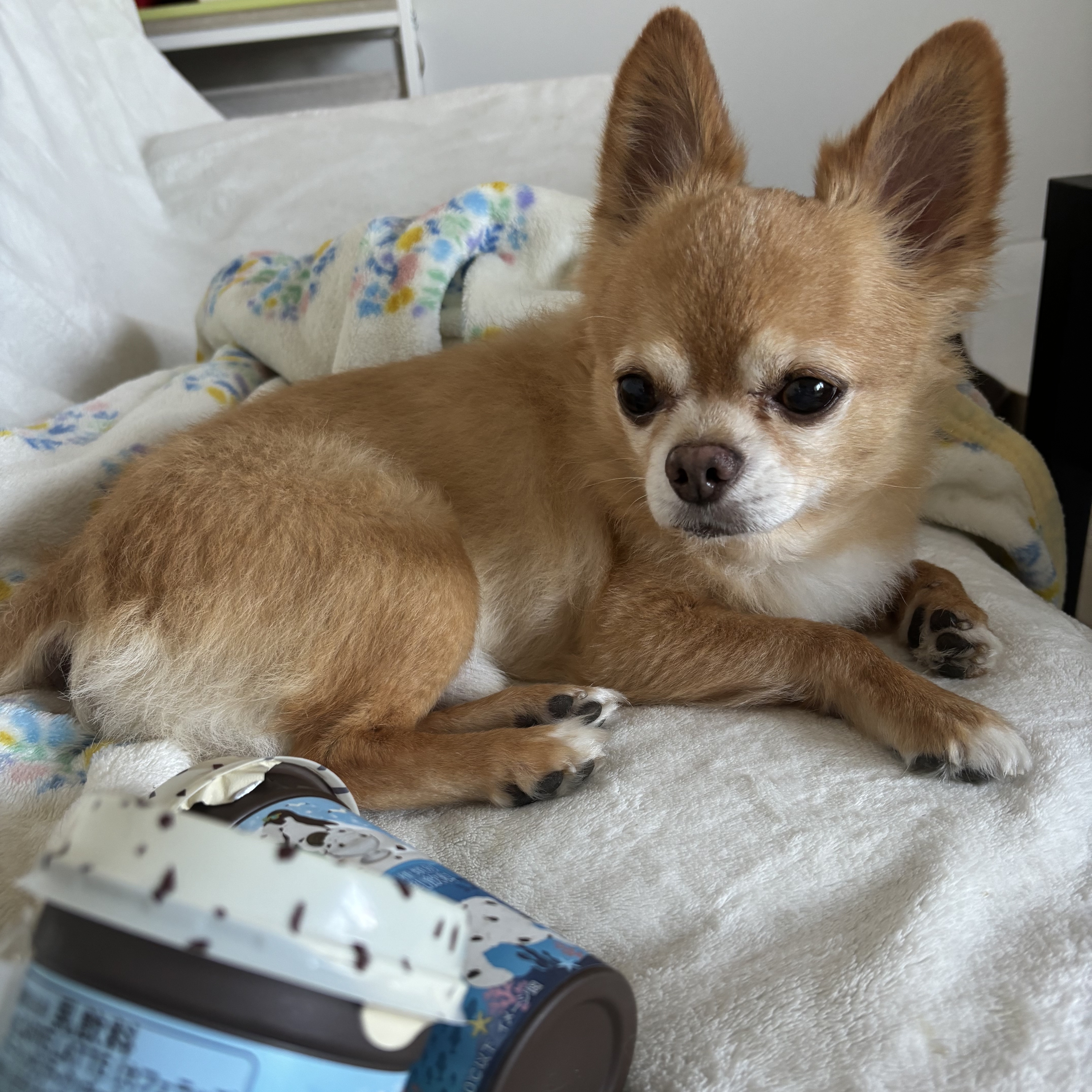 カフェラッテ サマーファンタジア クッキー＆クリーム風味/マウントレーニア/ドリンクを使ったクチコミ（3枚目）