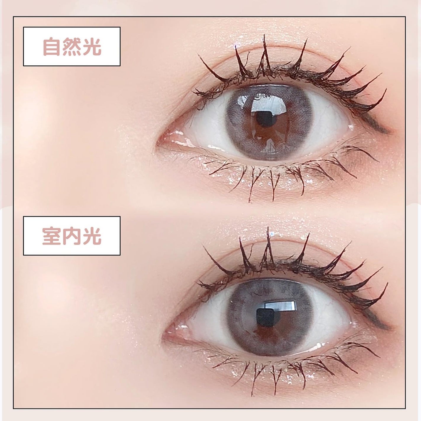 Cloud Pudding /chuu LENS/カラーコンタクトレンズを使ったクチコミ(5枚目)