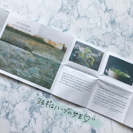 ピュアアルテミシア カーミングウォータークリーム/HANYUL(ハンユル)/フェイスクリームを使ったクチコミ(6枚目)